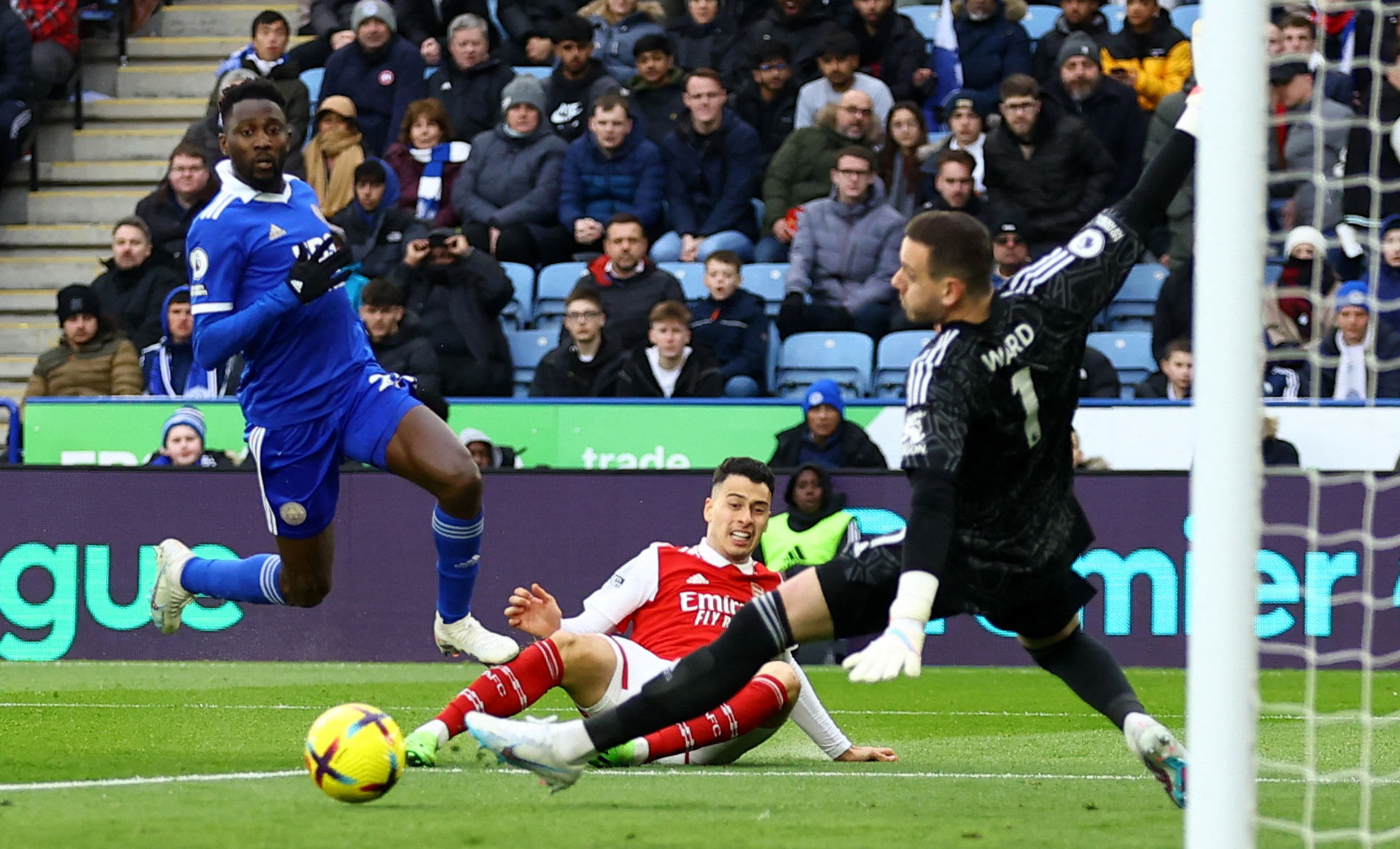 对蛎鹬这一 对蛎鹬这一